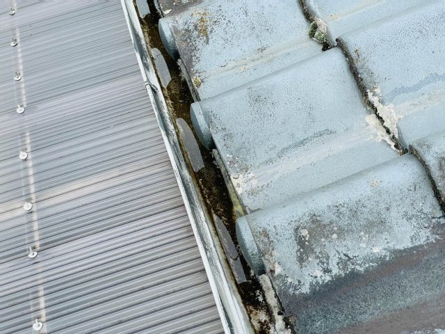宇美町の苔とカビで詰まっている雨樋