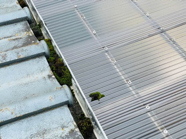 宇美町の苔が生えてしまった瓦屋根の雨樋