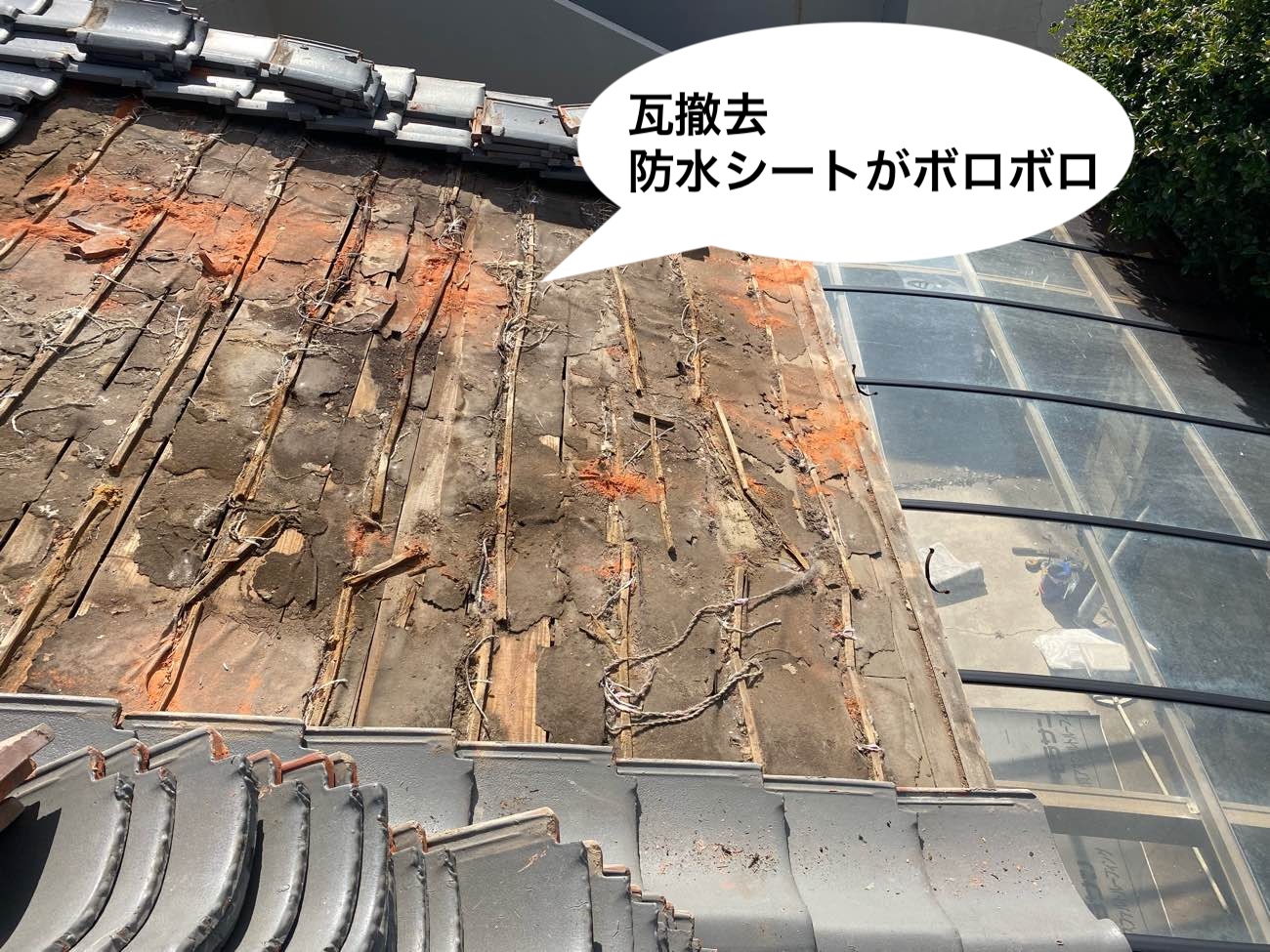 防水シートの劣化