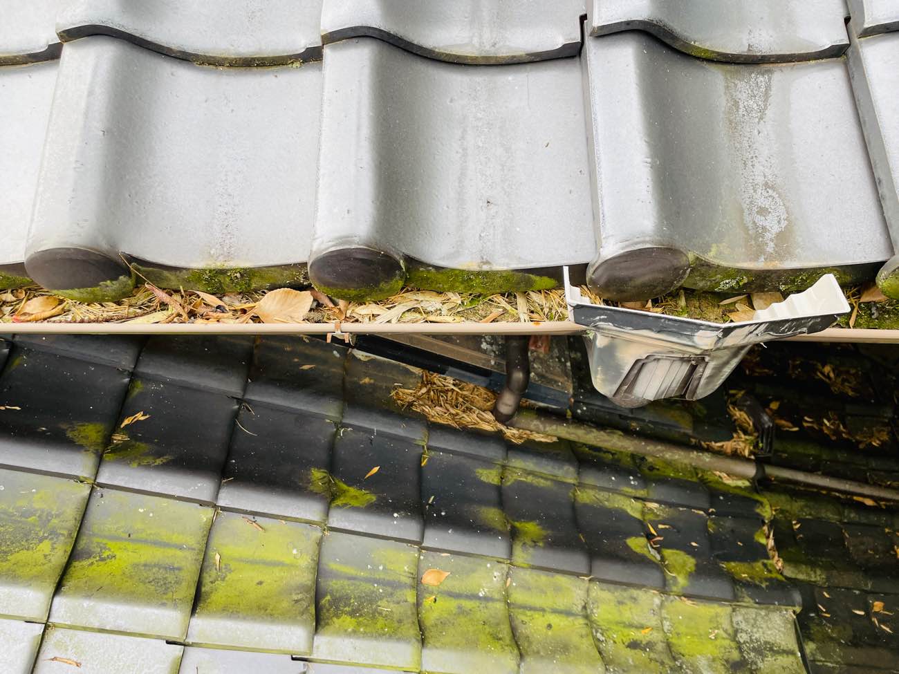 糟屋郡須恵町物件、雨樋清掃、落ち葉の詰まり、雨漏り、街の屋根やさん福岡西店