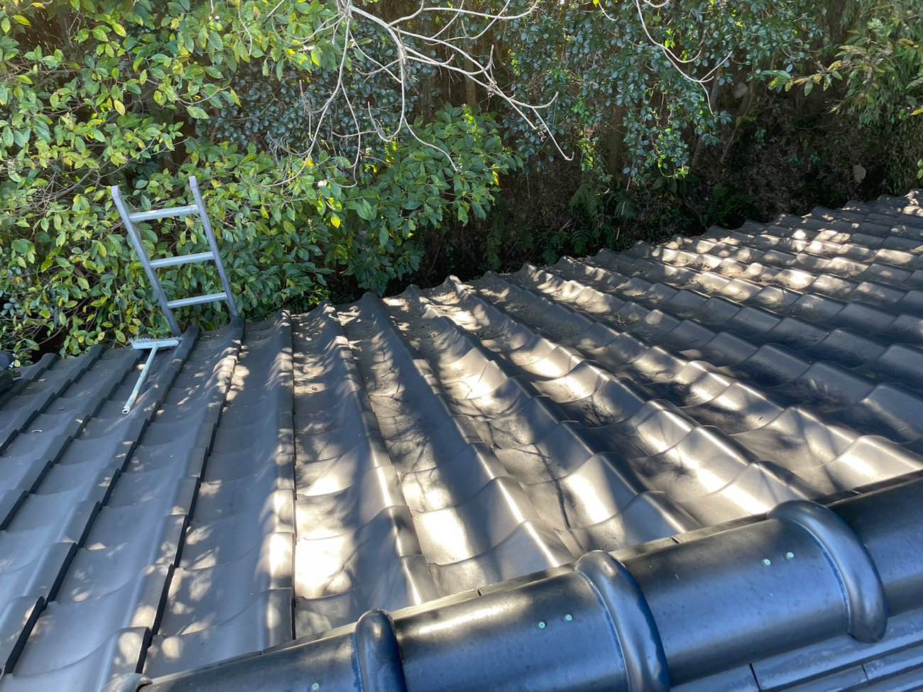 糟屋郡須恵町物件、雨樋清掃、落ち葉の詰まり、雨漏り、街の屋根やさん福岡西店