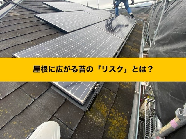 屋根に広がる苔