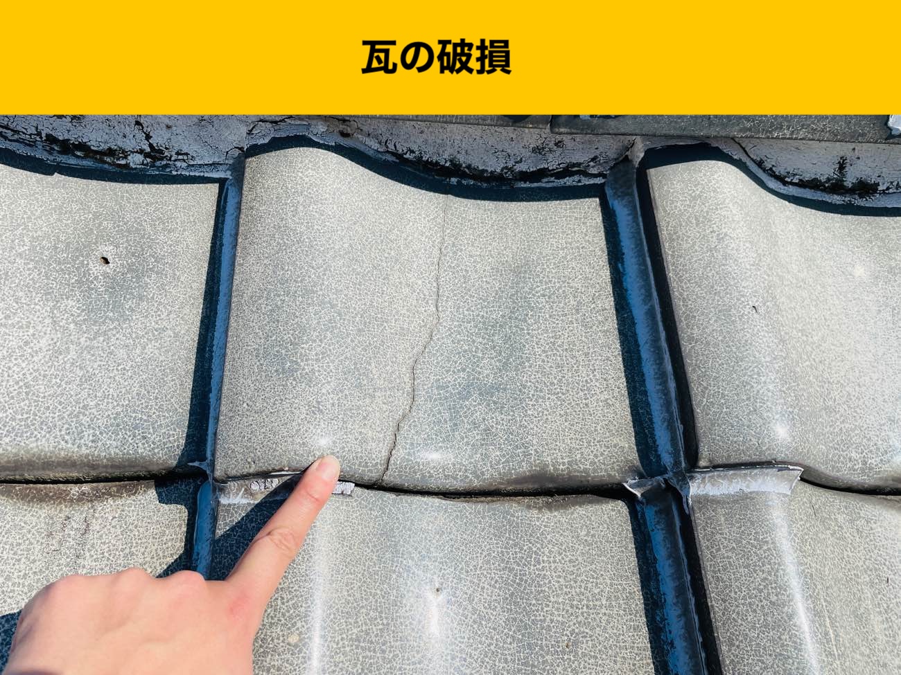 雨漏り調査、瓦の破損
