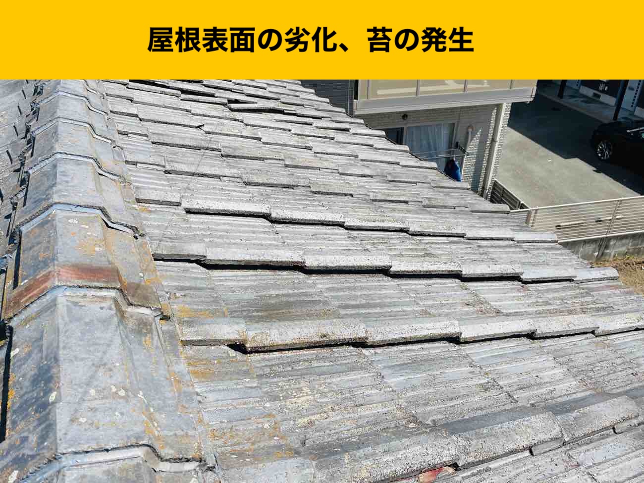 福岡市博多区の雨漏り工事、苔の発生