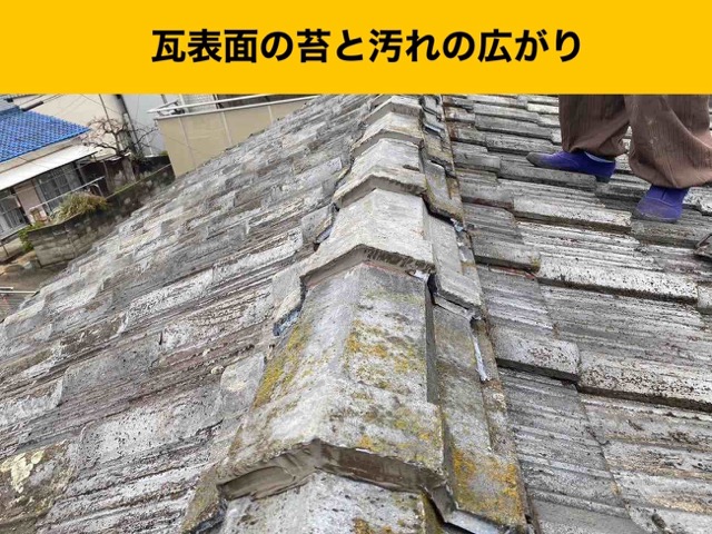 瓦の汚れ、苔の広がり
