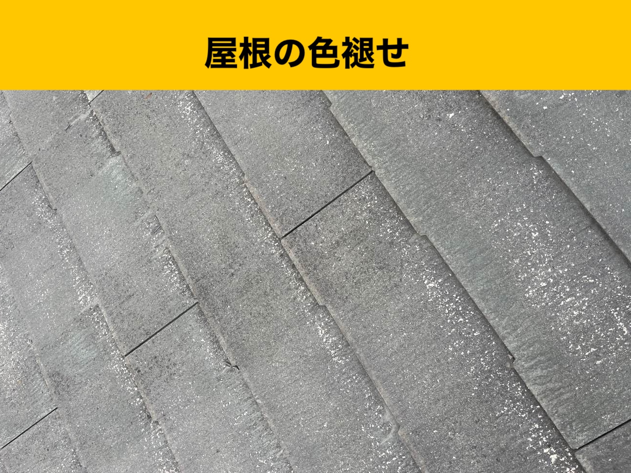 城南区の屋根の色褪せ