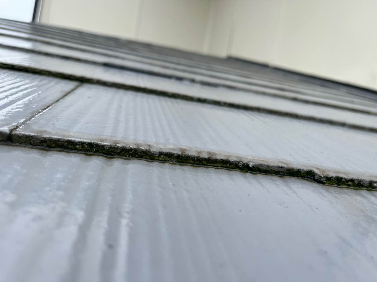 スレート屋根に苔が生えている