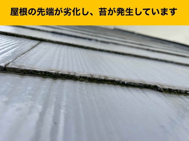 苔が発生した屋根