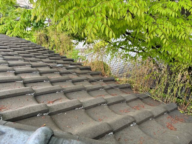 福岡市中央区で草が生えていた瓦屋根