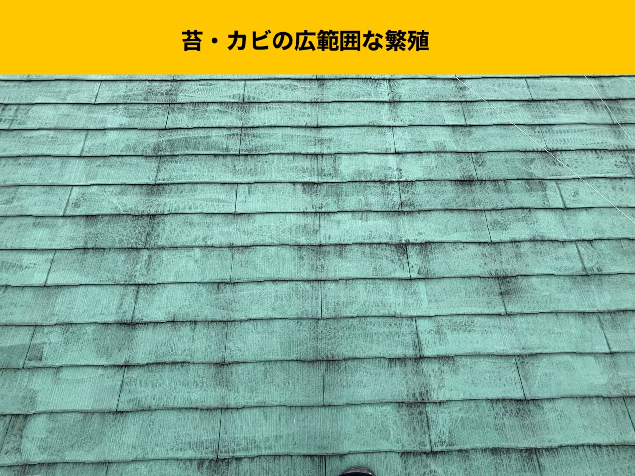 春日市物件スレート屋根の苔、カビの繁殖