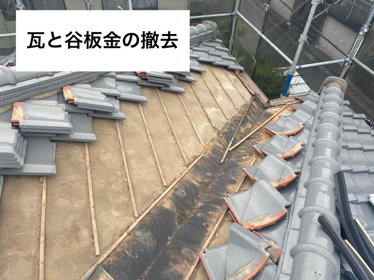 瓦の撤去