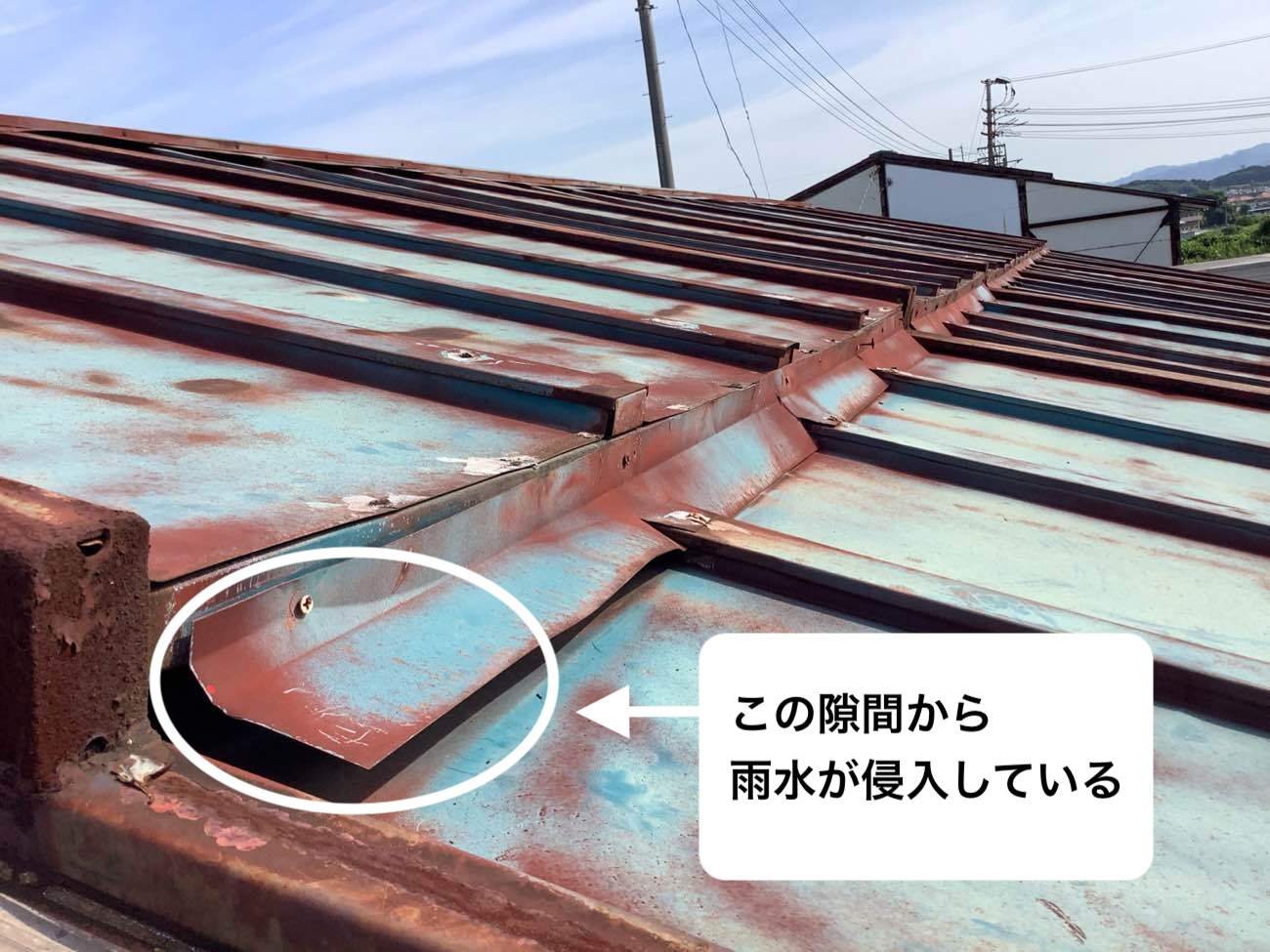 工場屋根の雨漏り原因箇所