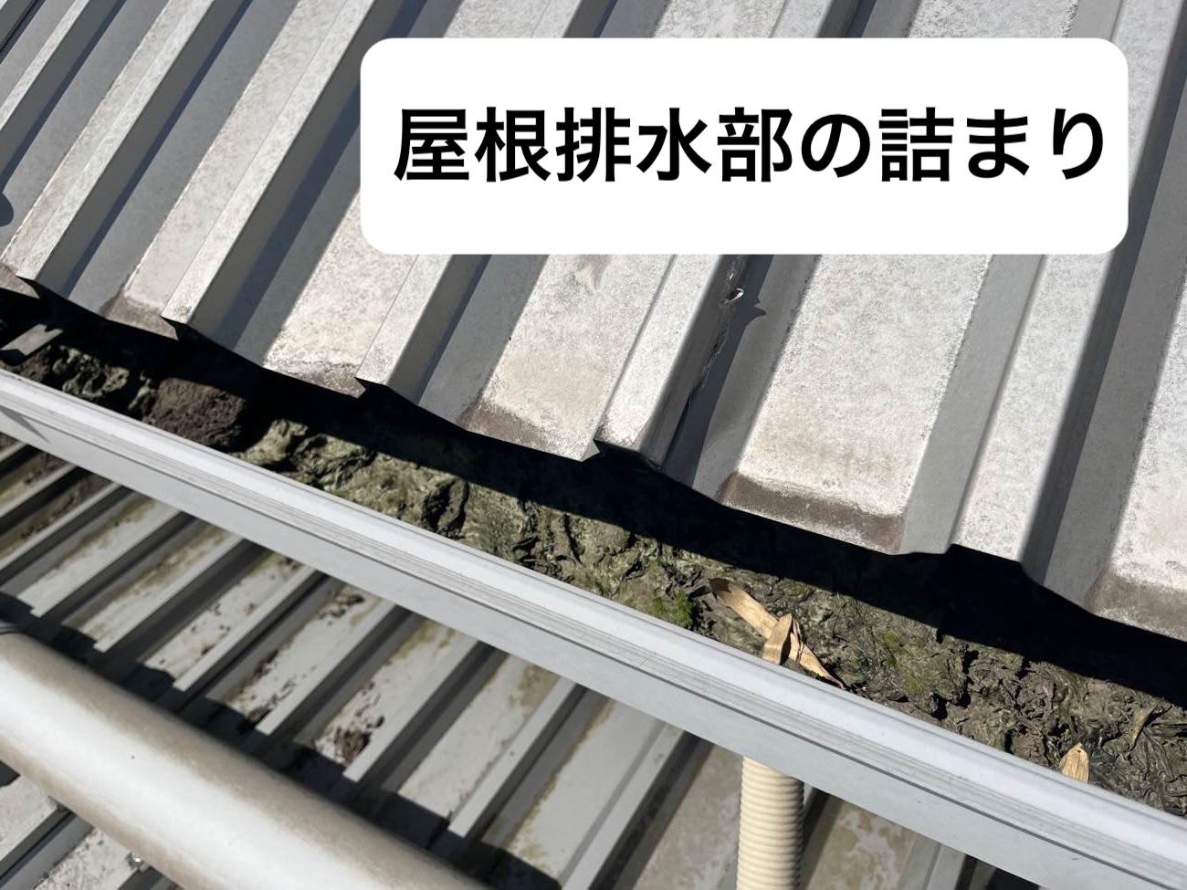 工場屋根の排水部のつまり