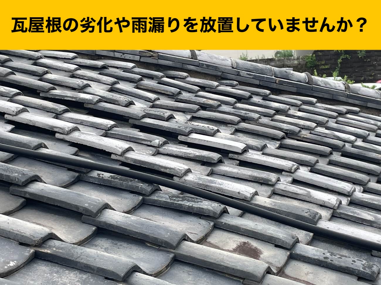 瓦の劣化、雨漏り