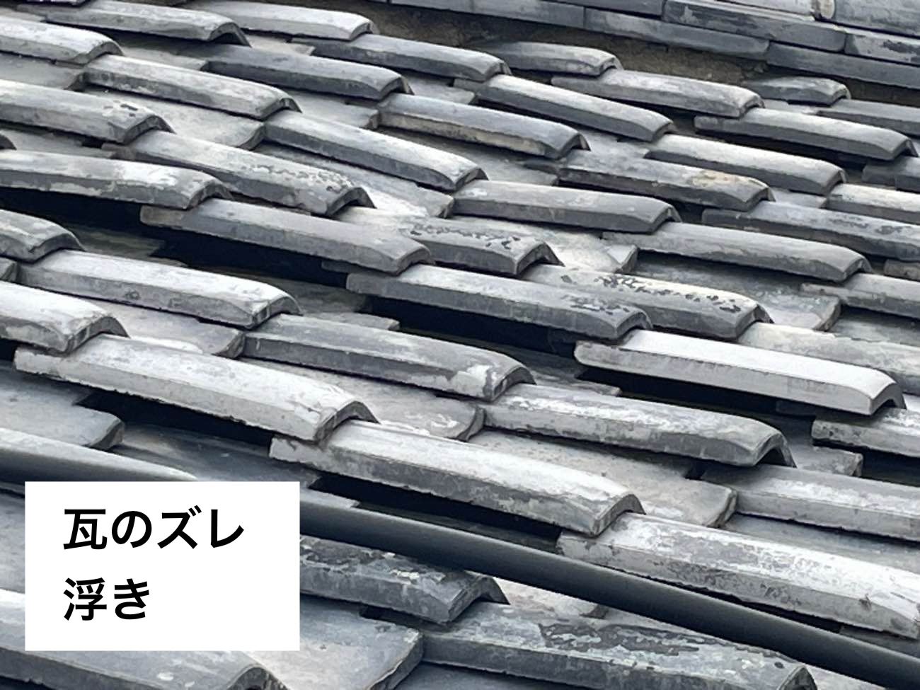 瓦のズレ・浮き