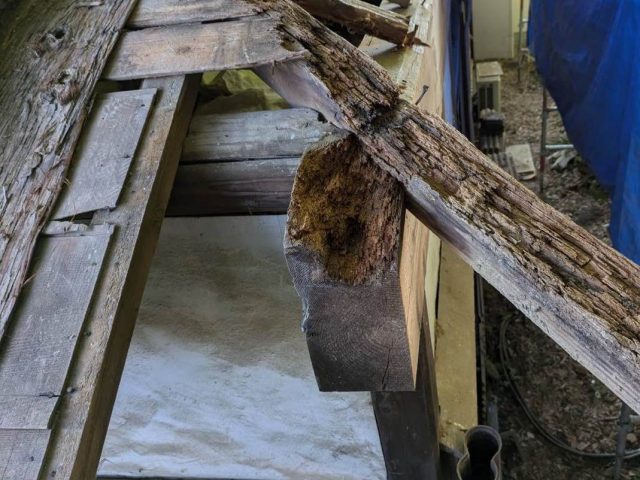 遠賀町の腐食した垂木