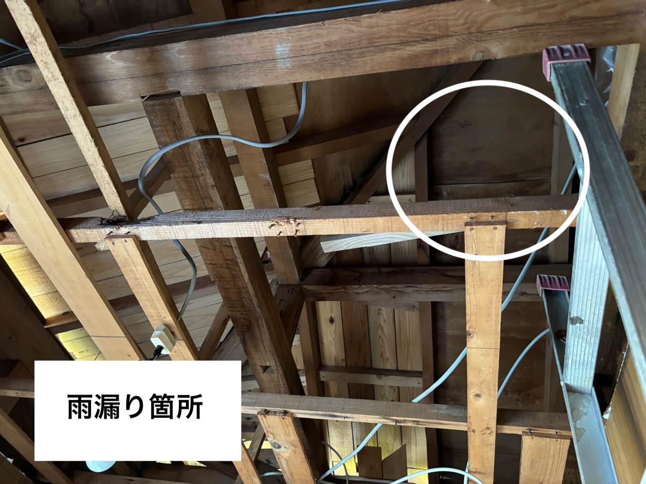 屋根裏の雨漏り状況
