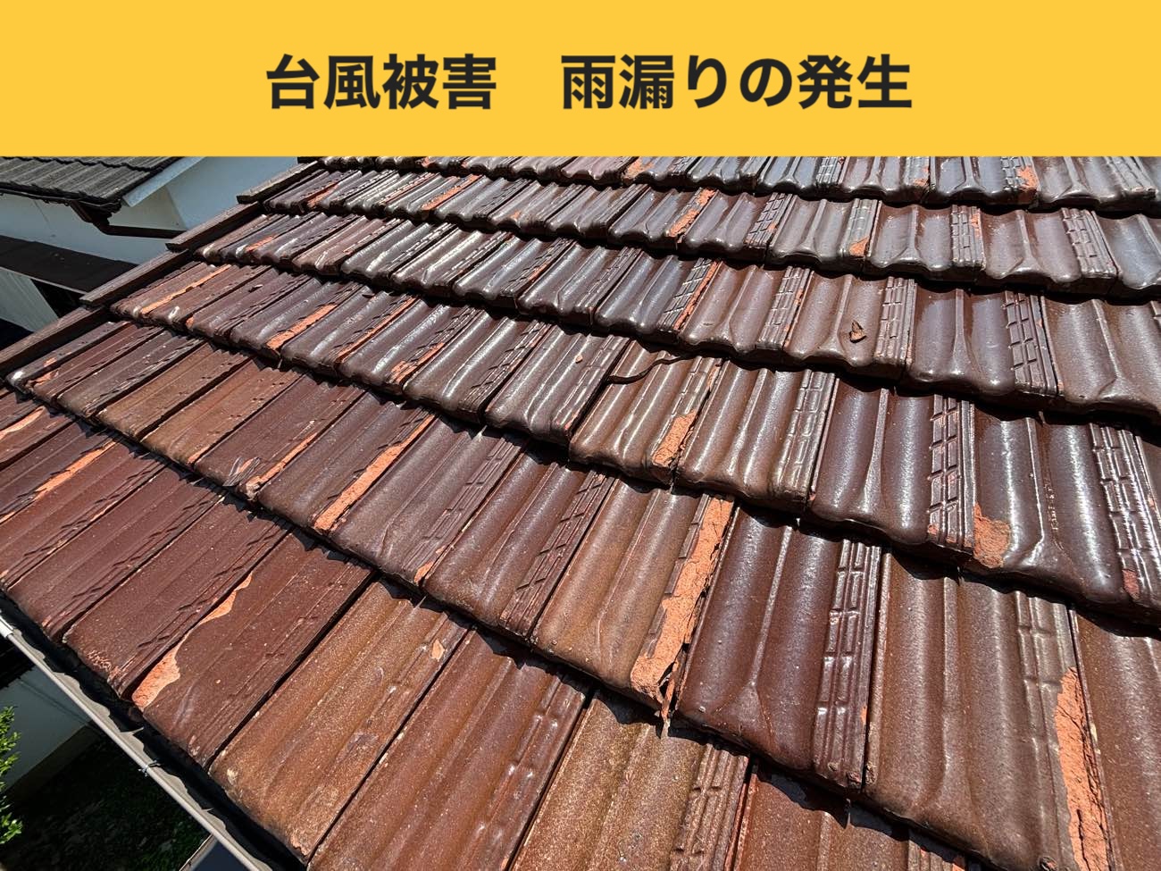 福岡市早良区の台風被害、雨漏り