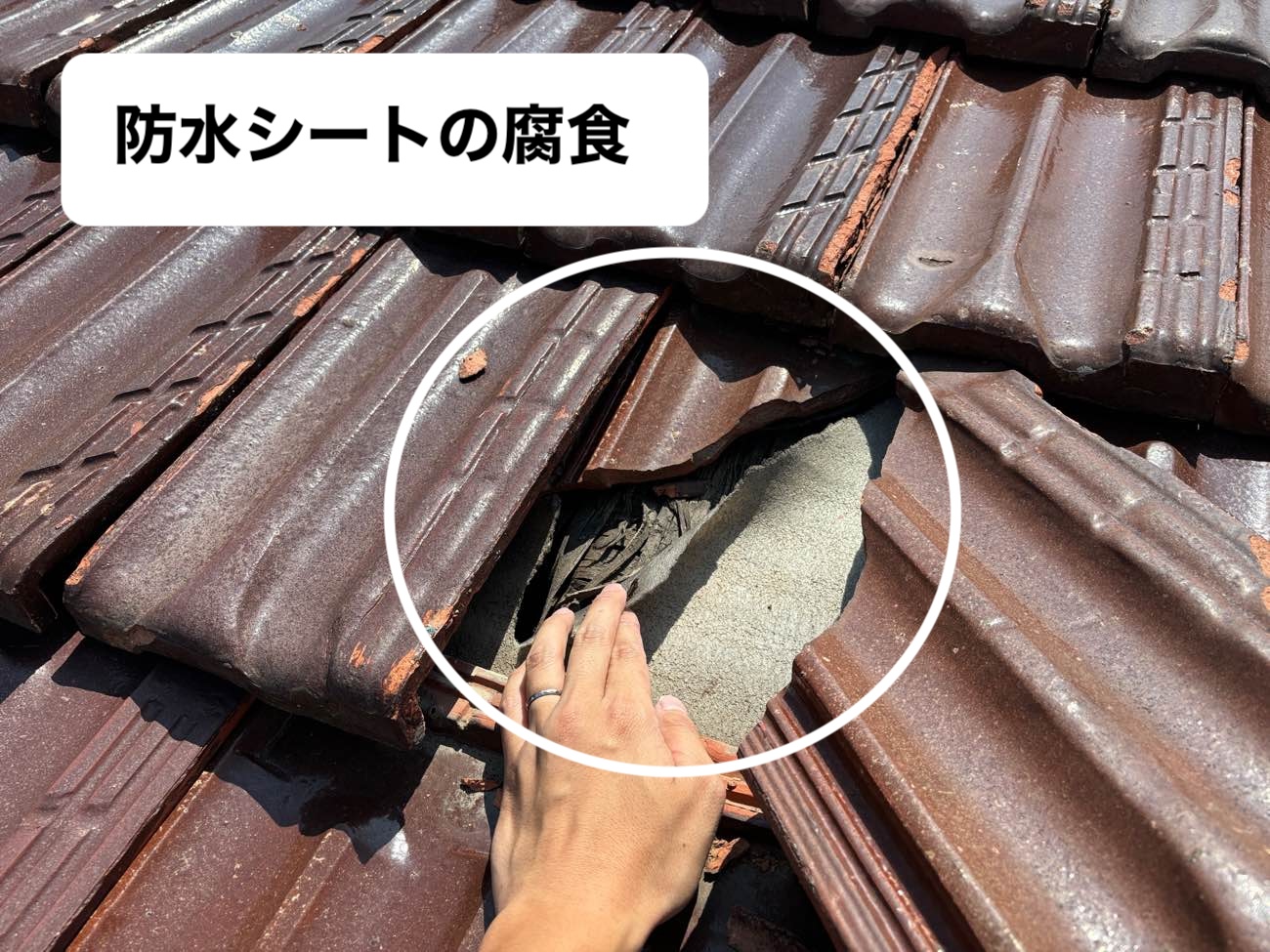 福岡市早良区物件の雨漏り調査、防水シートの腐食