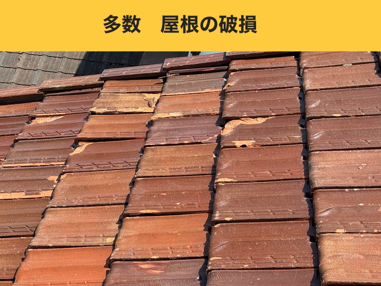 福岡市早良区の台風被害、雨漏り