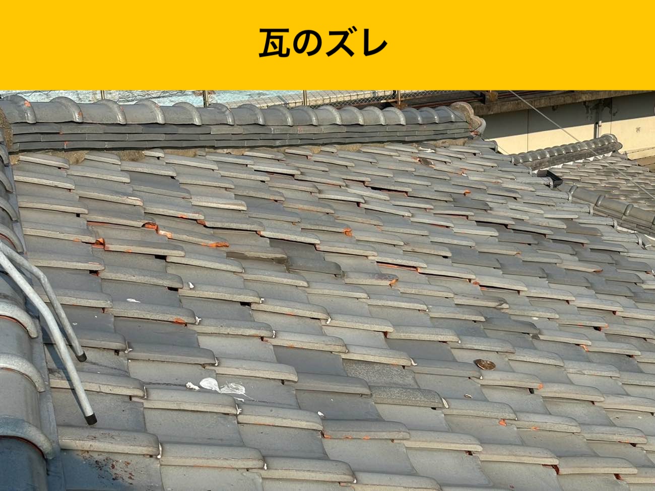 瓦のズレが広範囲に見られる