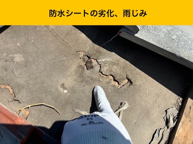 福岡市東区の雨漏り調査、防水シートの劣化、雨じみ