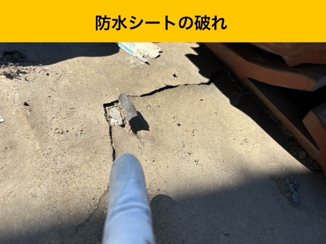 防水シートの破れ