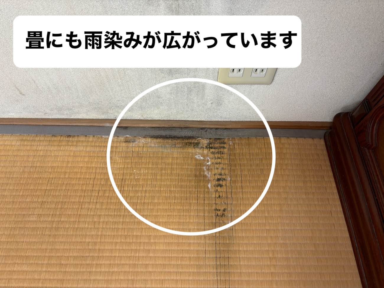 福岡市早良区物件の雨漏り調査、屋根の割れ、畳の腐食