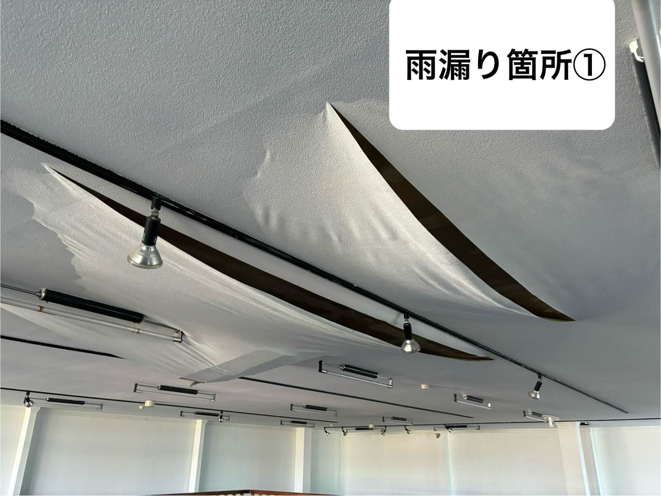 雨漏り状況
