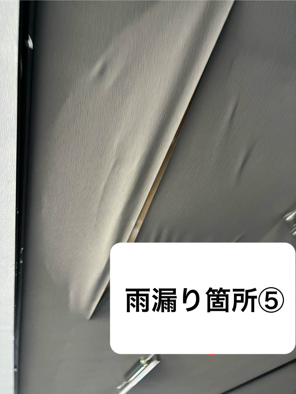 雨漏り箇所