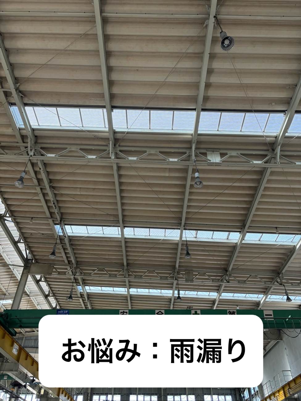 糟屋郡工場屋根調査