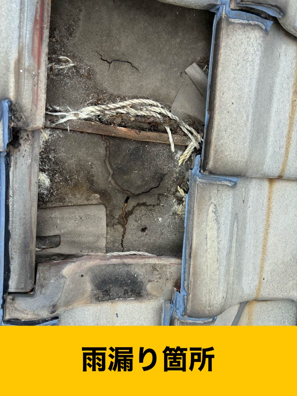 福岡市早良区物件、雨漏り工事