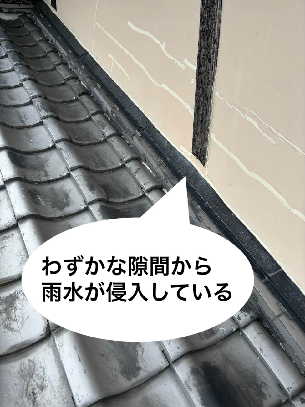 雨漏り箇所