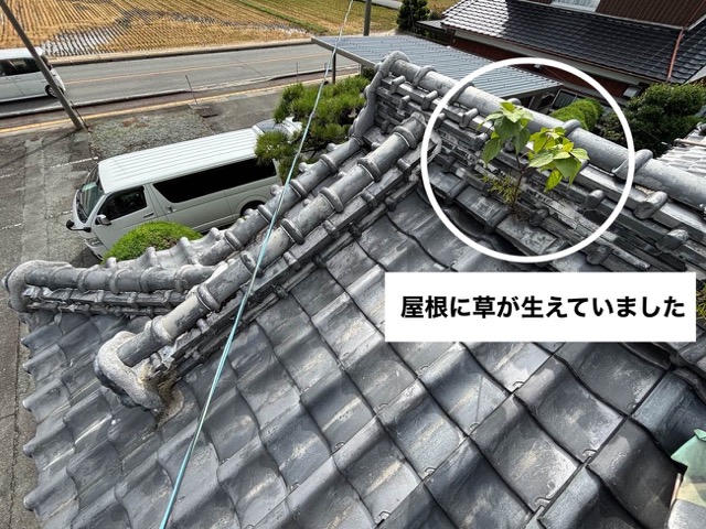瓦屋根の調査、劣化した屋根、草