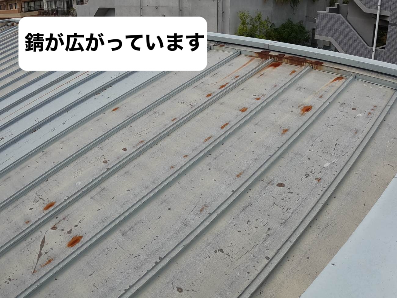 福岡市中央区物件、雨漏り調査、金属屋根の錆