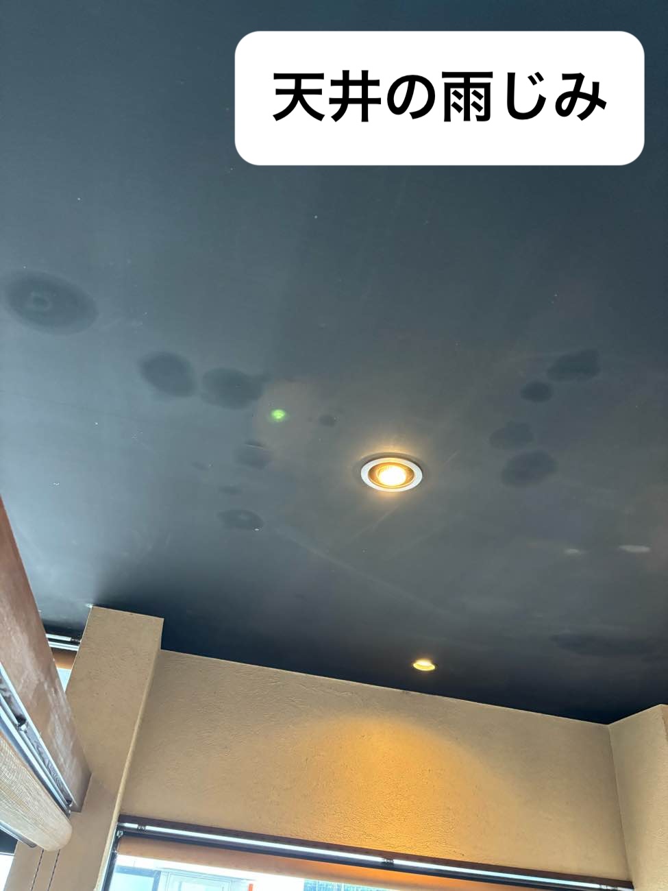 天井の雨じみ、飲食店の雨漏り