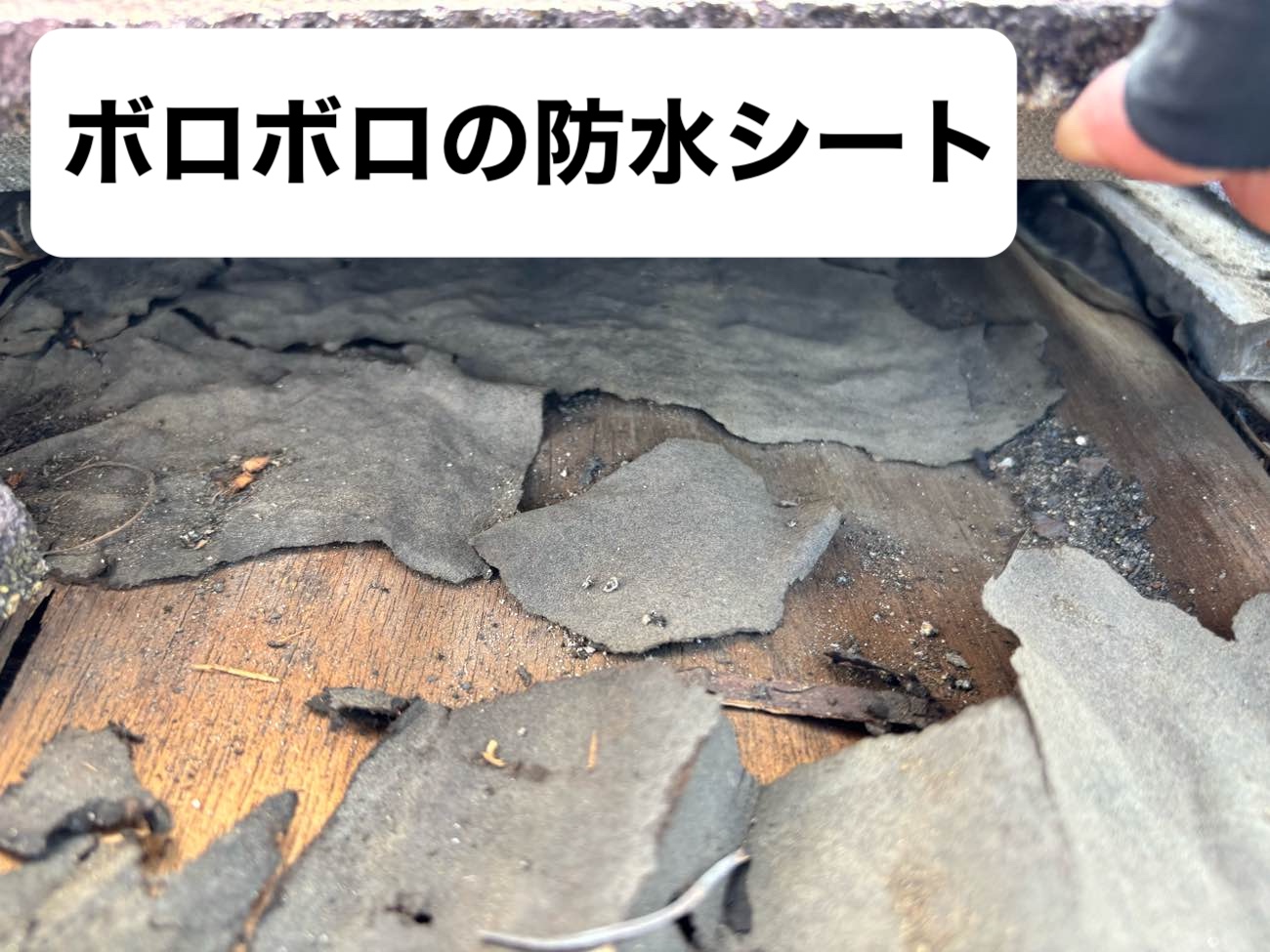 劣化した防水シート