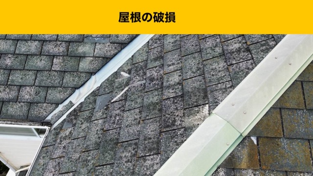 福岡市西区の屋根の破損