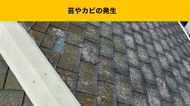 福岡市西区の苔やカビの発生した屋根