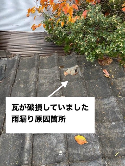 瓦の破損、雨漏り工事