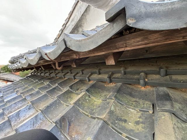 糸島市の苔が生えた屋根瓦