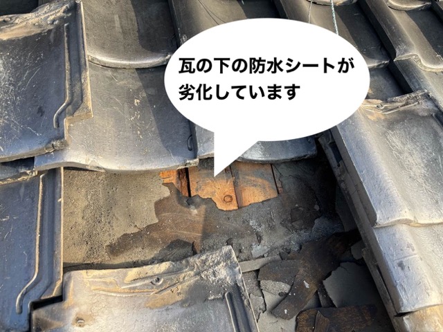 防水シートの劣化