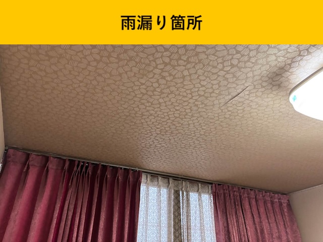 雨漏り箇所