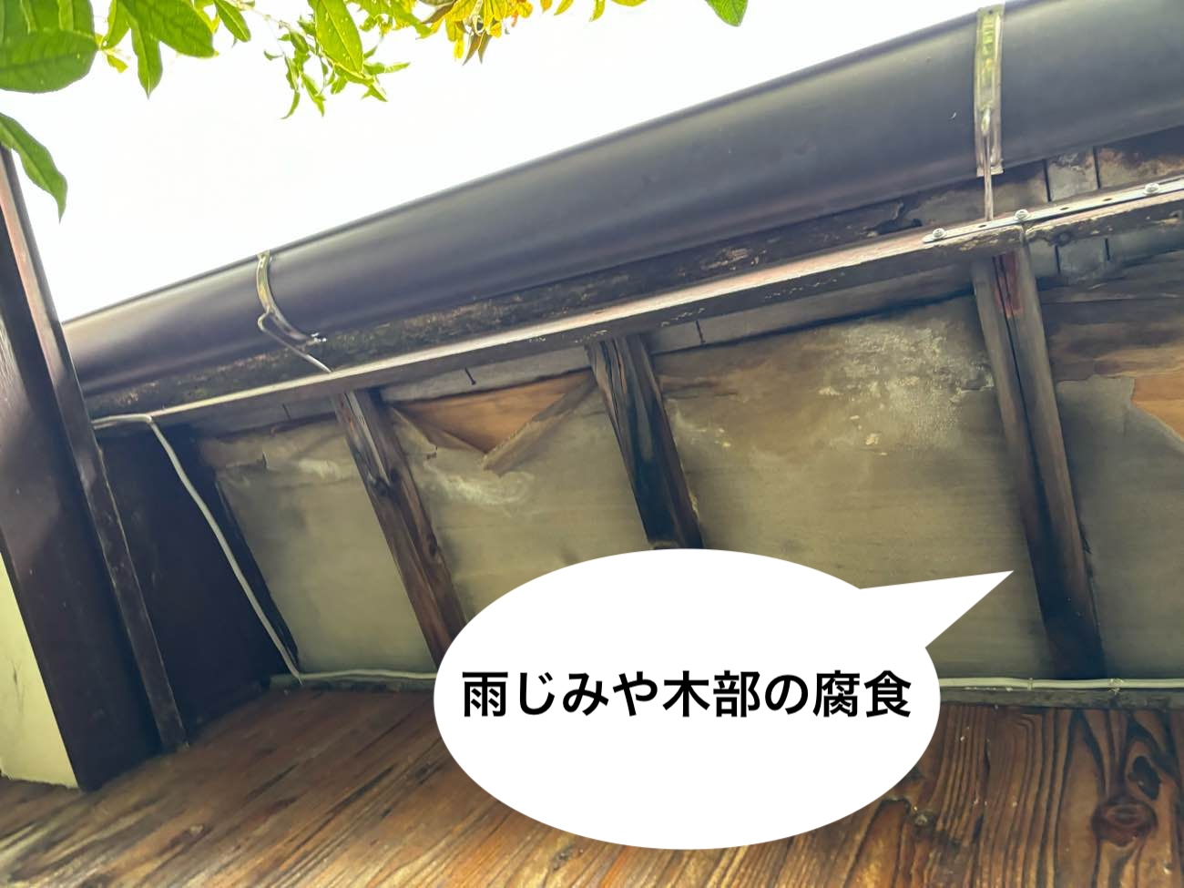軒天井の雨じみや木部の腐食