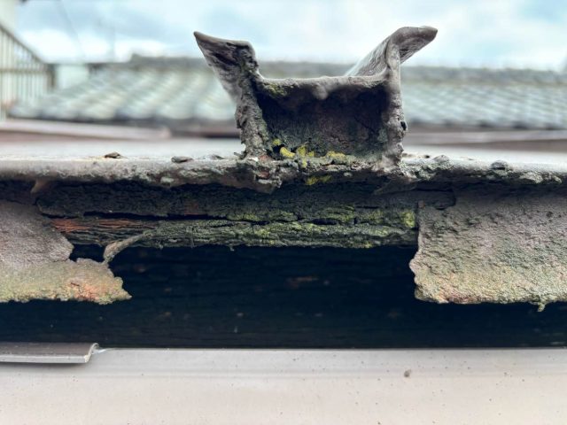 志免町の苔が生えた金属屋根