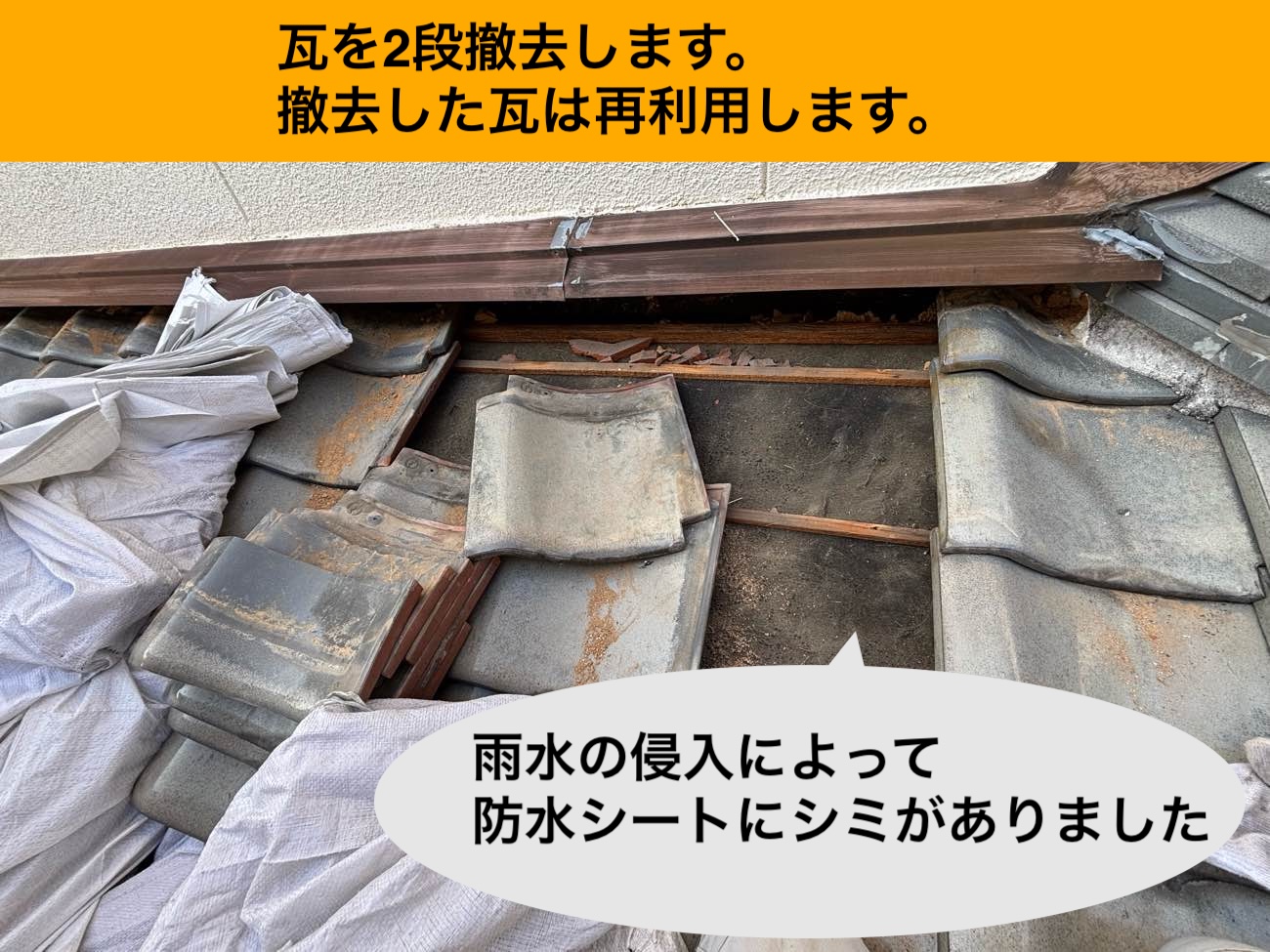 防水シートのシミ