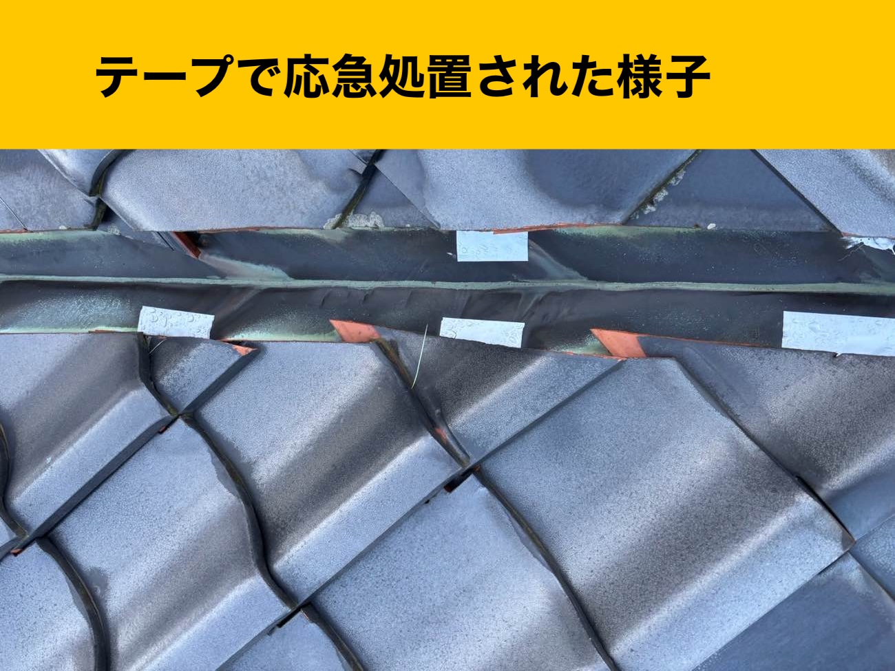 屋根調査で確認された谷板金の処置