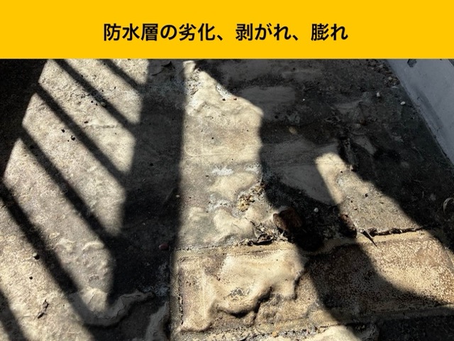 防水層の劣化