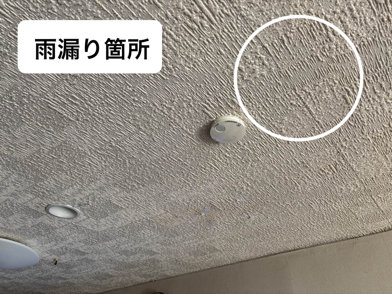 春日市天井の雨じみ