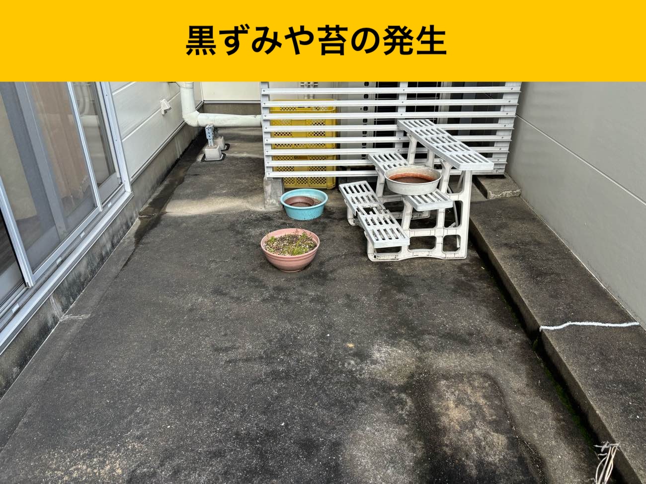苔、黒ずみ、ベランダの劣化